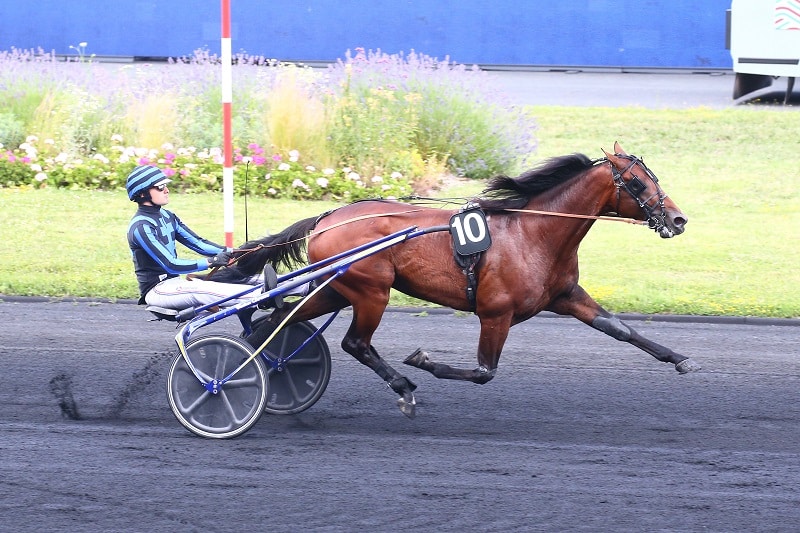 You are currently viewing Contrat rempli pour Idao de Tillard