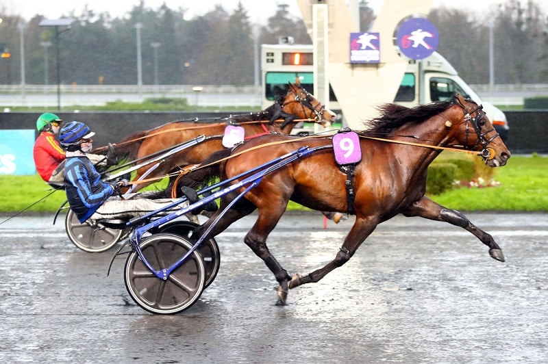 You are currently viewing Idao de Tillard reçu 6 sur 6 cet hiver !