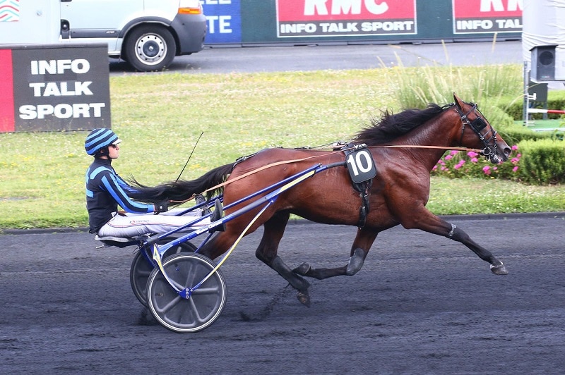 You are currently viewing Idao de Tillard nous régale encore