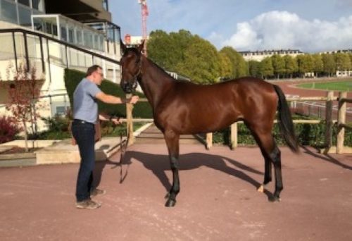 Idao de Tillard adjugé 27 000 €