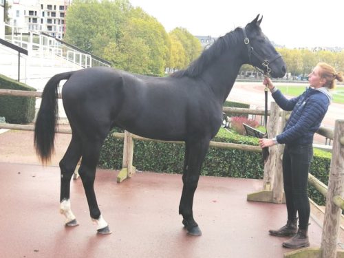 Igor du Regency, top price à 29 000 €