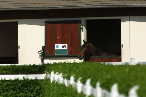 Photos et vidéos en ligne