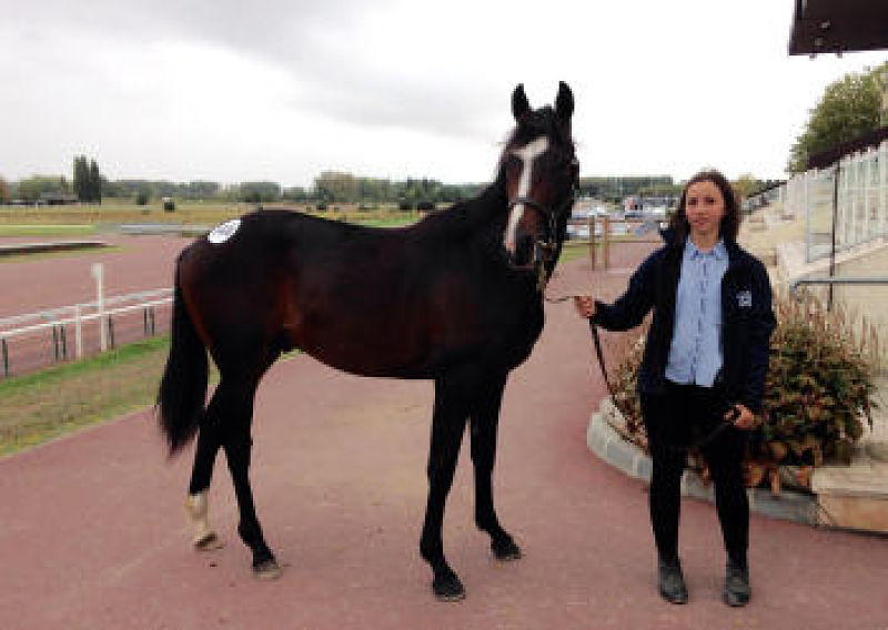 You are currently viewing Une activité toujours soutenue pour la deuxième journée