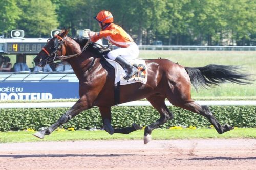 Inouï Danica brille dans le « Calvados »