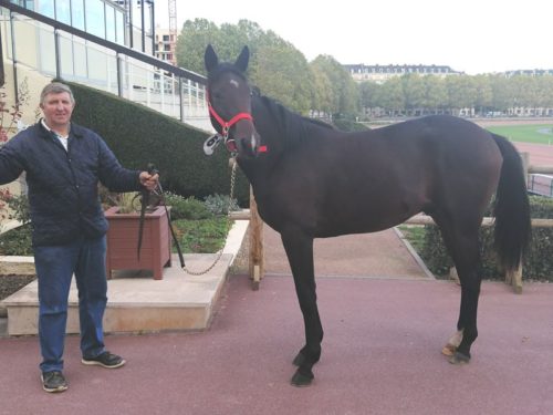 « Instinct » – « Ice Dream », les achats de l’Ecurie Benoît