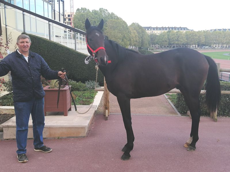 You are currently viewing « Instinct » – « Ice Dream », les achats de l’Ecurie Benoît