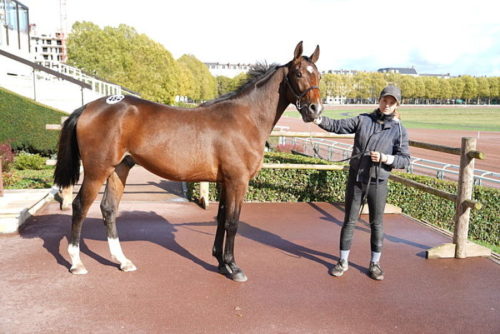 Sous le charme d’Ivoire Dairpet