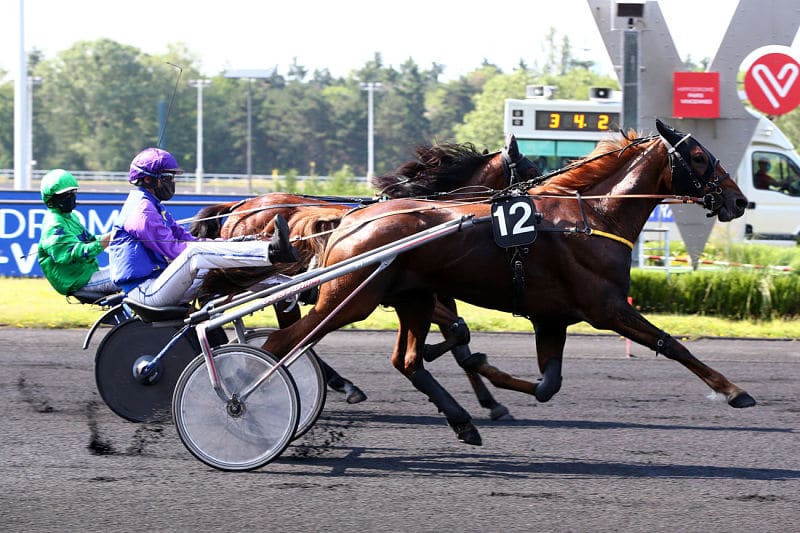 You are currently viewing Première réussie à Vincennes pour Iathus Danica