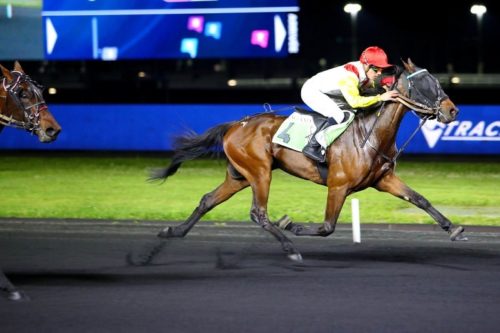 Idaho à la Bruyère, un dur à cuire