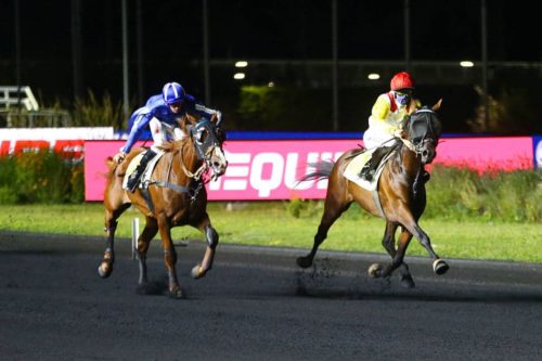 Idaho à la Bruyère enchaîne à Vincennes