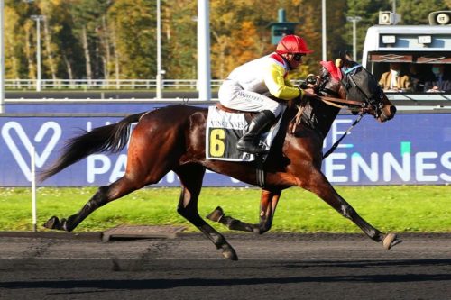 IDAHO À LA BRUYÈRE (2018)