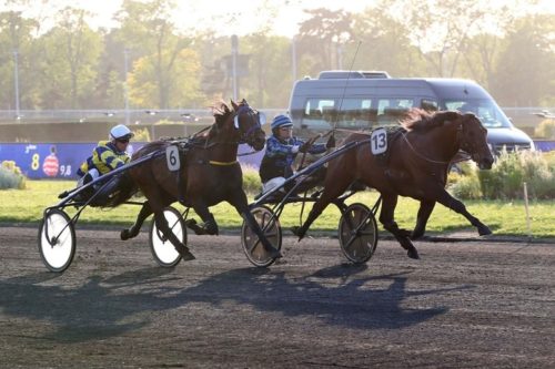 Rentrée victorieuse du champion Idao de Tillard
