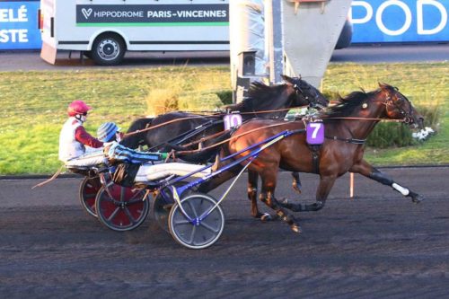 Un premier Groupe II pour Idao de Tillard