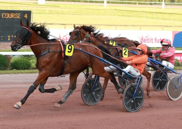 Midland d’Oyse, Iggy des Rioults et Lady du Châtelet brillent au niveau Premium