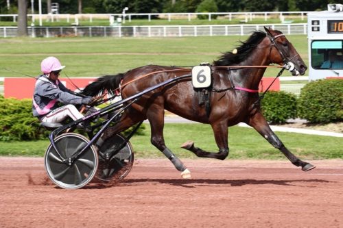 Iguane de Caponet marque encore les esprits