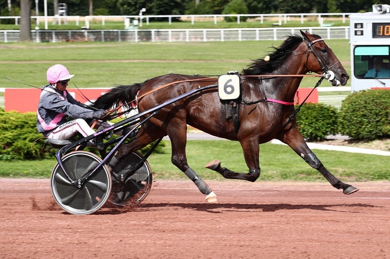 You are currently viewing Iguane de Caponet marque encore les esprits