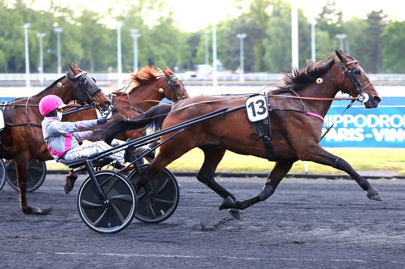 You are currently viewing Iguane de Caponet reprend ses bonnes habitudes