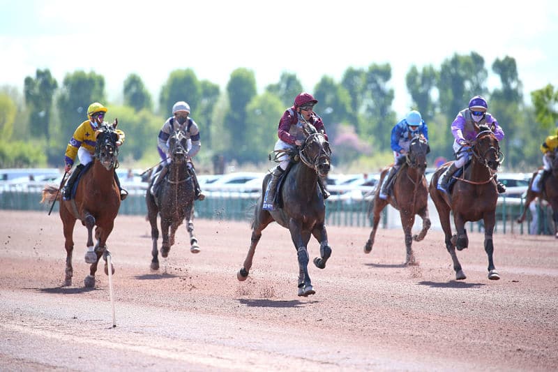 You are currently viewing Très belle 2ème place d’Inouï Danica dans le « Saint-Léger »