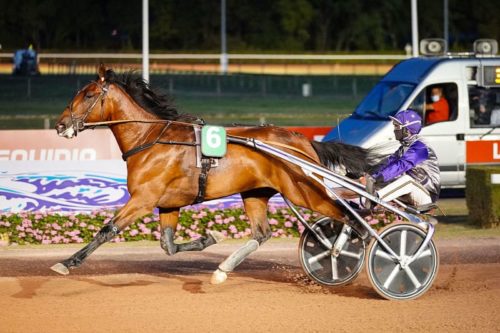 Belle entrée en matière d&rsquo;Inoui Danica