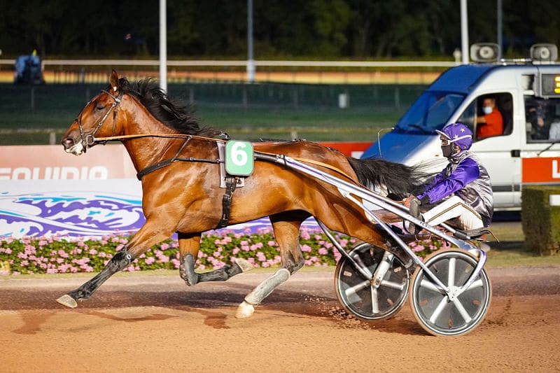 You are currently viewing Belle entrée en matière d’Inoui Danica