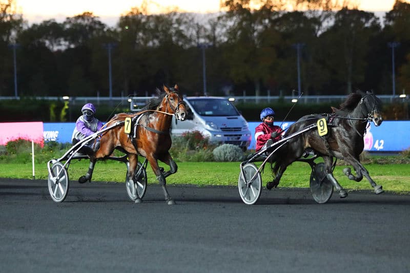 You are currently viewing Belles valeurs d’Inouï Danica et Intense de Tillard dans le Prix Louis Cauchois