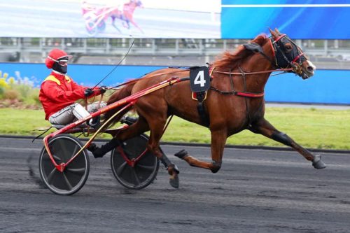 Invictus Madiba brille au niveau Groupe III