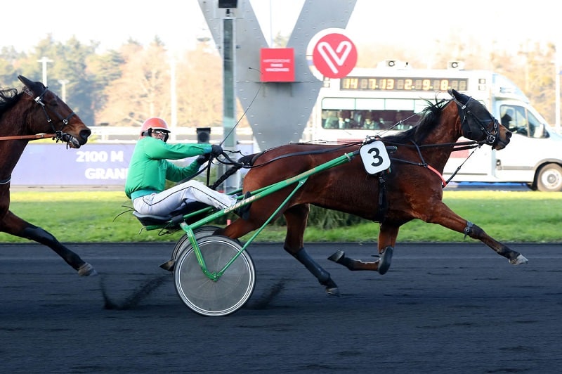 You are currently viewing Isa Catz brille à Vincennes