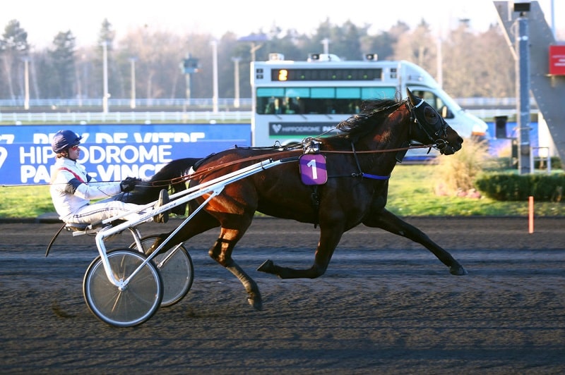 You are currently viewing Première parisienne prometteuse pour Ivalo du Bocage