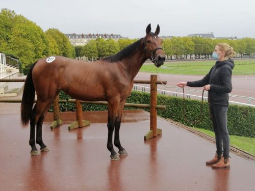 Jaliska Ellis top price à 48 000 €