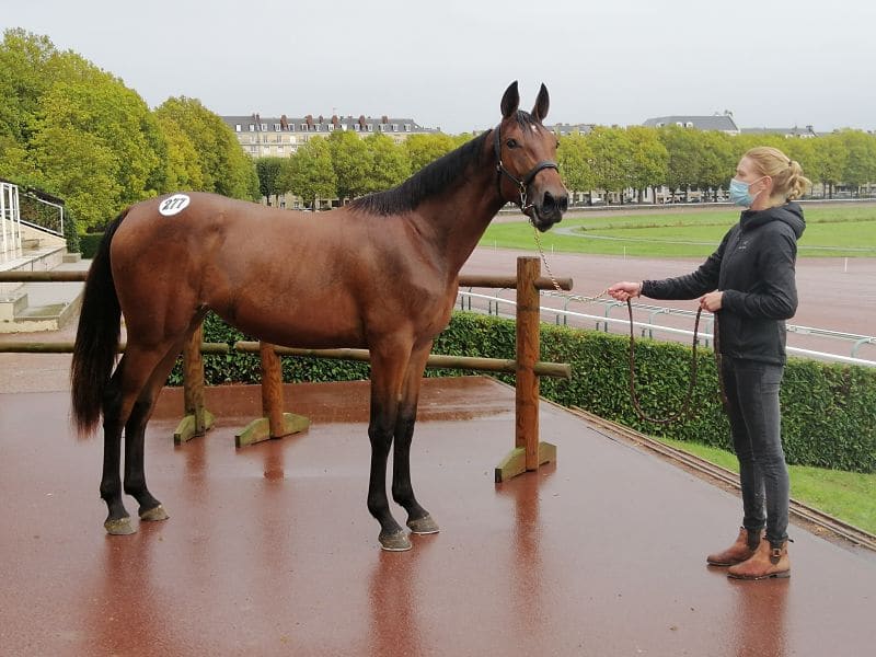 You are currently viewing 11 nouveaux qualifiés chez les « J »