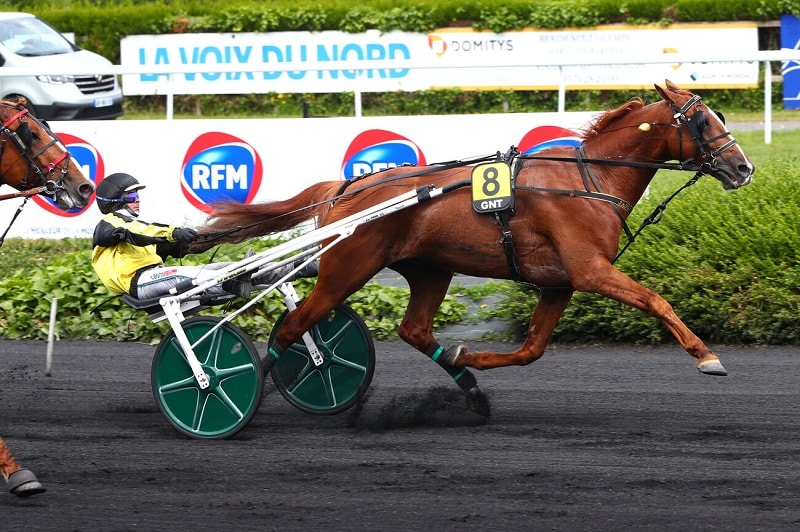 You are currently viewing JANGO VICI (2019)