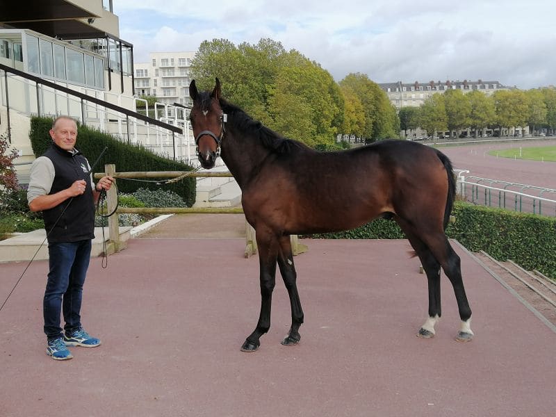 You are currently viewing Japon de Fleur top price à 18 000 €