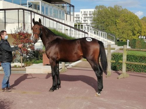 Encore de très bons chiffres ce mercredi