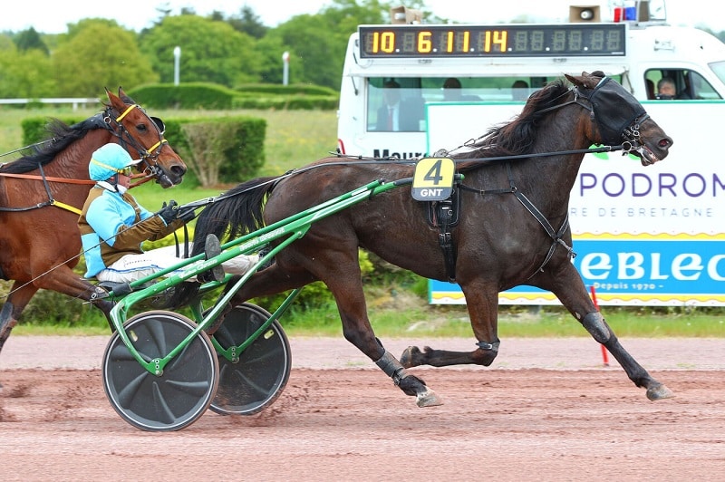 You are currently viewing JE RÊVE DU BOIS (2019)