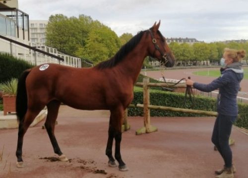 Encore 7 nouveaux « J » qualifiés