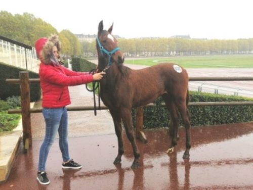 Juventus du Klau fait afficher 21 000 €