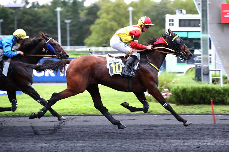 You are currently viewing Jean Balthazar, en route vers les « Elites » !