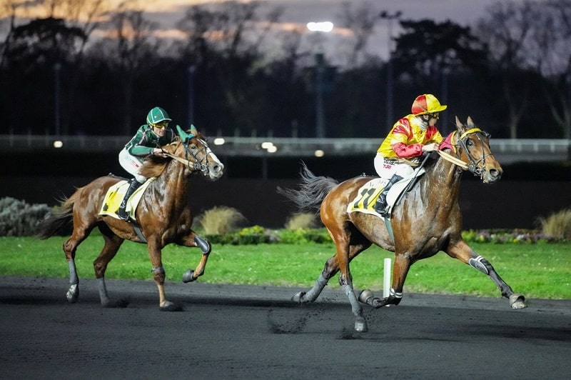 You are currently viewing Un quatrième Groupe II pour Jean Balthazar