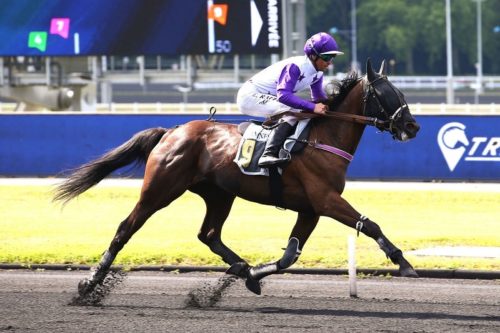 Jeune Demoiselle brille à Vincennes