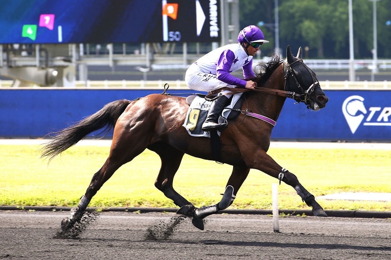 You are currently viewing Jeune Demoiselle brille à Vincennes