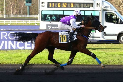 Joiso Poker Pro frappe d&rsquo;entrée de jeu sous la selle à Vincennes