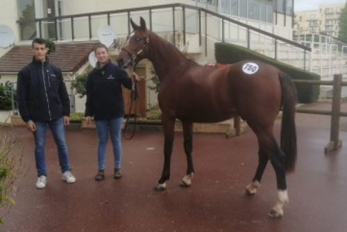 7ème journée des Ventes : KALLAGAN fait afficher 26 000 €