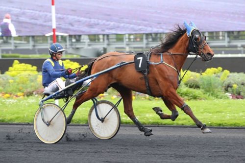 Première à Vincennes pour Kansas de la Cour