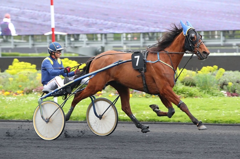 You are currently viewing Première à Vincennes pour Kansas de la Cour