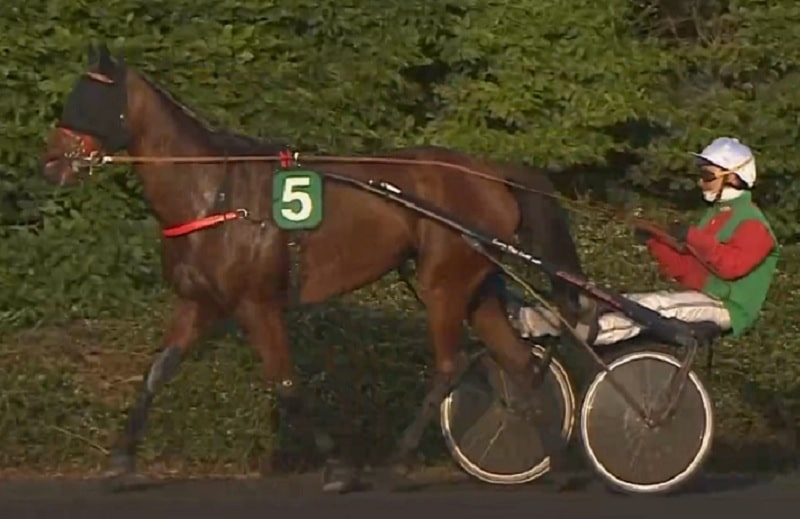 You are currently viewing Kara de Pierrepont à la manière des forts