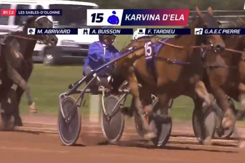 Karvina d’Ela – Joyau Dairpet : double réussite Premium aux Sables-d’Olonne