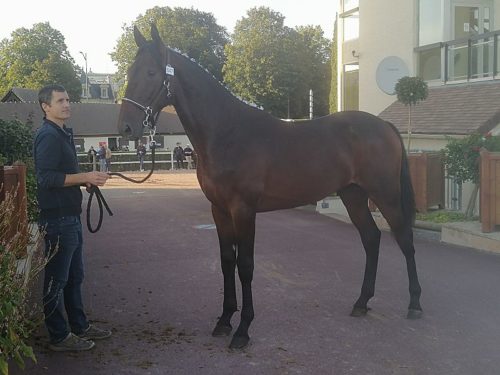 6ème journée des Ventes : KATOKI plus belle enchère à 26 000 €