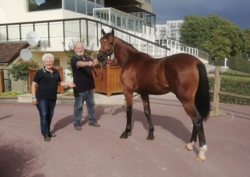 4ème journée des Ventes : Klassic de Tillard, top price à 28 000 € d’une vente très active