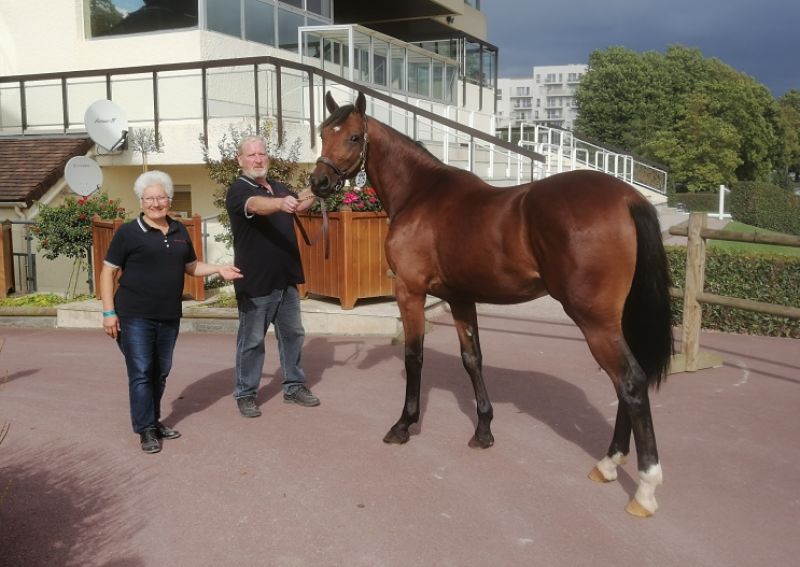 You are currently viewing 4ème journée des Ventes : Klassic de Tillard, top price à 28 000 € d’une vente très active