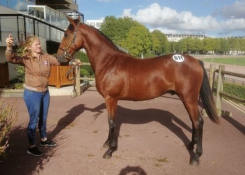 5ème journée des Ventes : Kyoto de Lou fait tomber le marteau à 26 000 €